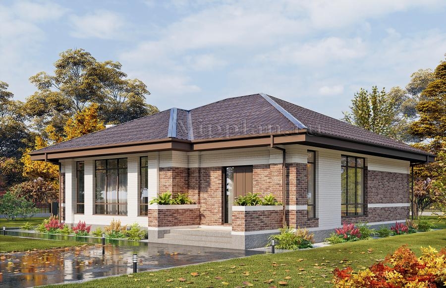 Одноэтажный дом с просторной гостиной, террасой и двумя спальнями